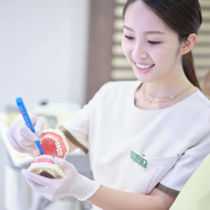 予防歯科・歯科検診