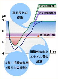 フッ素塗布